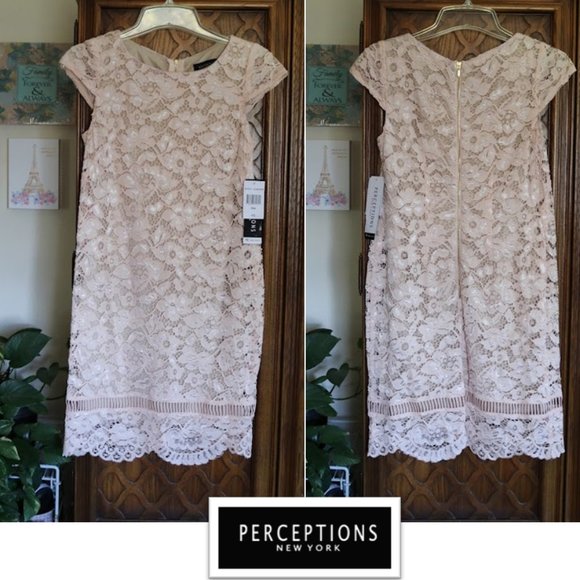 PERCEPTIONS New York Blush Nude Lace Sheath Dress - NWT! - Picture 16 of 16